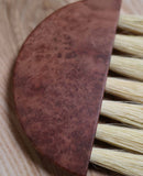 Table Brush in London Plane