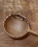 Large Scoop in Spalted Beech